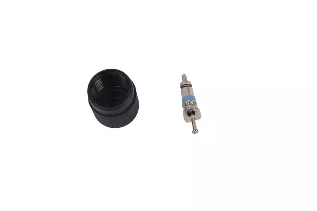 12570619 - : Fuel Injection Fuel Pressure Service Kit with Valve and Cap for Buick: Rendezvous, Roadmaster | Cadillac: DeVille, Fleetwood, Seville | Chevrolet: Caprice, Impala, Lumina APV, Malibu, Venture | Oldsmobile: Cutlass, Cutlass Supreme, Silhouette | Pontiac: Aztek, Montana, Trans Sport Image