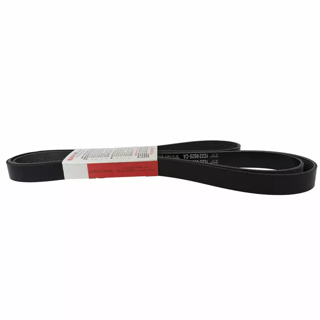 1C2Z8620CA - Cooling System: Serpentine Belt for Ford: E-350 Econoline, E-350 Econoline Club Wagon, E-350 Super Duty, E-450 Econoline Super Duty, Econoline Super Duty Image