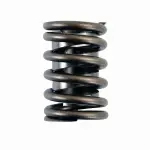 ERV909X - : Engine Valve Spring for Enginetech Image