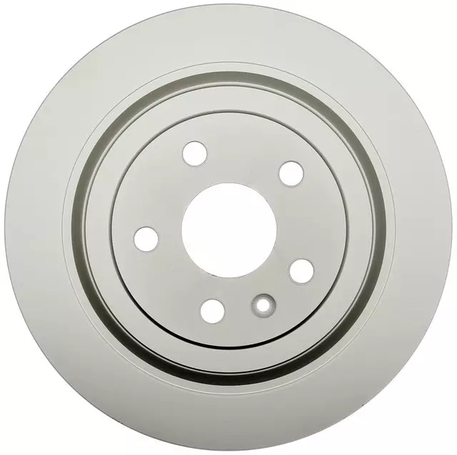 Coated Rear Disc Brake Rotor - GM (19387988)