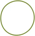 G31955 - : Fuel Injection Throttle Body Mounting Gasket for Mahle Image