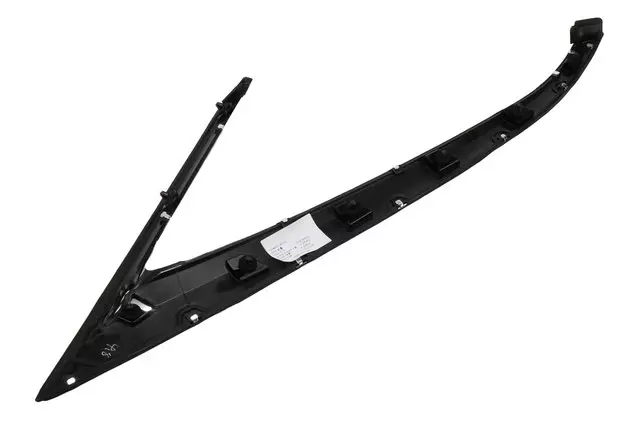 Driver Side Upper Rear Side Door Opening Reveal Molding - GM (84124308)