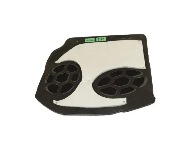 Insert Carpet, Left - Mopar (1WS41DX9AC)