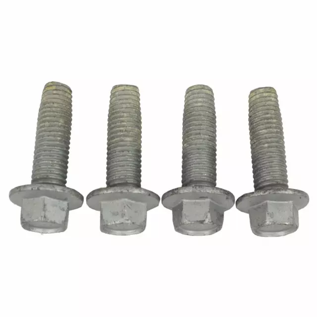 W505286S442X - Electrical: Outer Buckle Screw for Ford: Expedition | Lincoln: Navigator Image