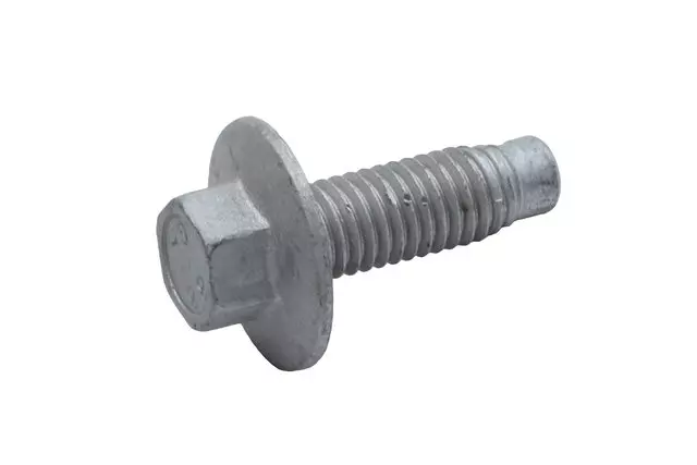 Door Hinge Bolt - GM (13307322)