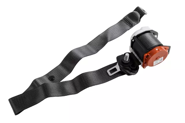 19368037 - Electrical: Outer Belt Assembly for Buick: Encore | Chevrolet: Trax Image