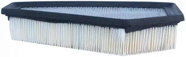 19254697 - : F (S)Element for GM Image