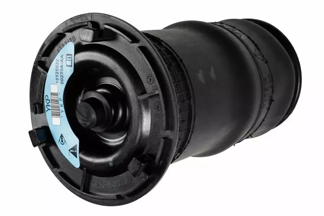 15125532 - Suspension: Coil Spring for GM Image