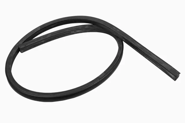 20832875 - Body: Upper Weather-strip for Hummer: H3 Image