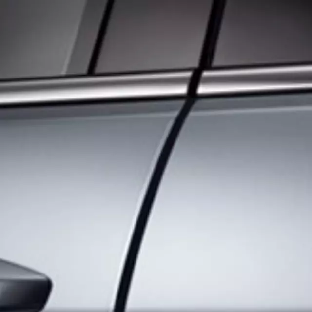 Door Edge Film - Acura (08P20-TX4-202)