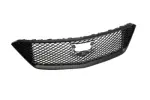 42879383 - : Exterior Grille for GM Image