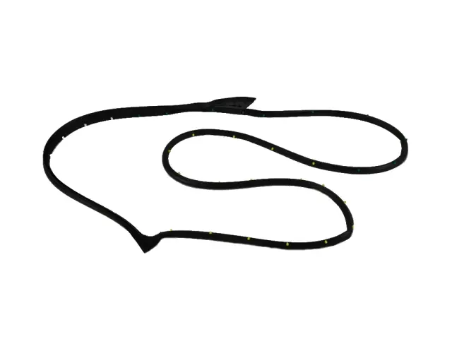 Front Door Mounted Weatherstrip, Right - Mopar (68563580AC)