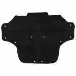 FR3Z16738D - Body: Insulator for Ford: Mustang Image