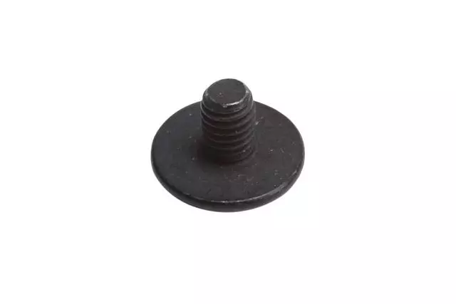 11517752 - Body: Applique Bolt for Oldsmobile: Alero | Pontiac: Grand Am Image