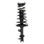 815216 - : PRT 815216 Suspension Strut and Coil Spring Assembly for PRT PERFORMANCE RIDE Image