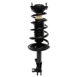 814766 - : PRT 814766 Suspension Strut and Coil Spring Assembly for PRT PERFORMANCE RIDE Image