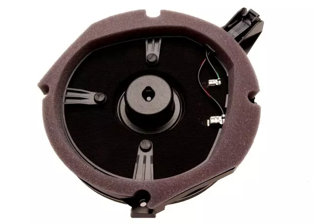 25717924 - Body: Front Dr Speaker for Cadillac: Seville Image