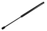 613212 - : Liftgate Lift Support for Tuff Support Image