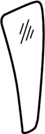 82262ZQ10A - Body: Fixed Glass for INFINITI: QX56 Image