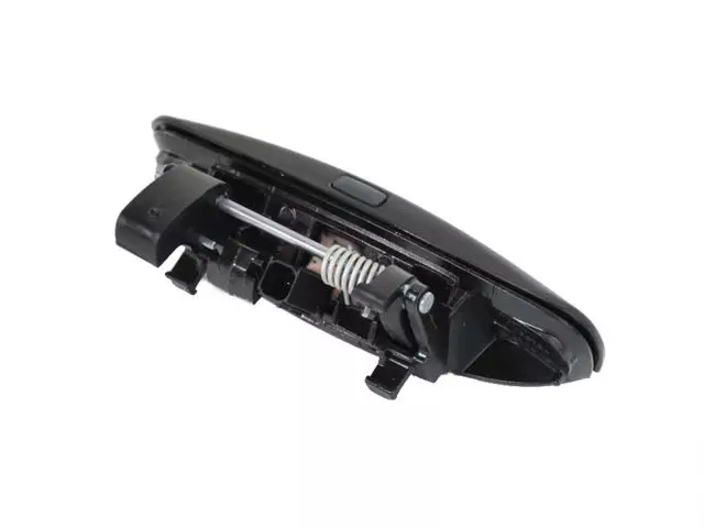 Handle Outside - Mopar (1MZ84KARAM)