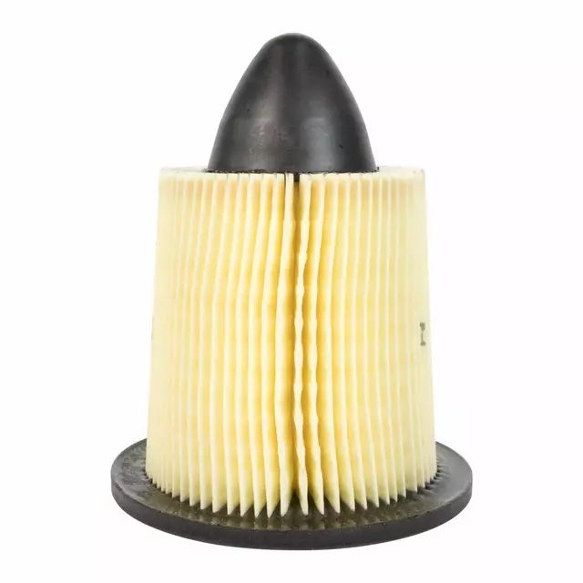 Element Assembly Air Cleaner - Ford (F4ZZ-9601-AX)