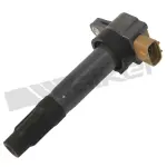9212163 - : ThunderSpark 921-2163 Ignition Coil for ThunderSpark Image
