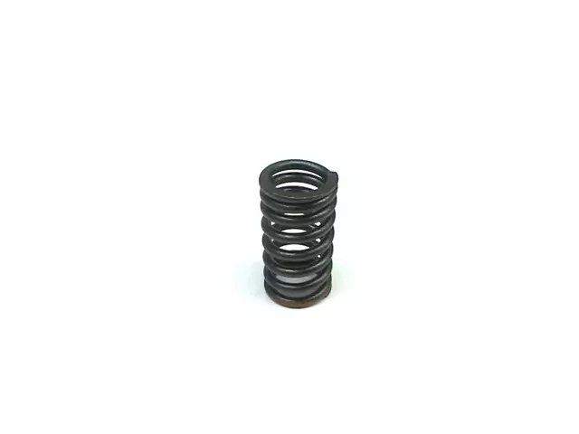 13217AA080 - Engine: Valve Springs for Subaru: GL, Impreza, Legacy, XT Image