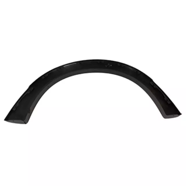 Molding - Ford (1L5Z-9929165-BAB)