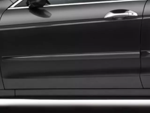 8P05TA0150 - Exterior: 2008 Honda Accord - Body Side Molding for Honda: Accord Image