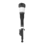 28513601 - : Unity Automotive Air Suspension Strut for Unity Automotive Image