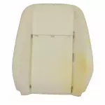 DT1Z1764811H - Body: Seat Back Pad for Ford: Transit Connect Image