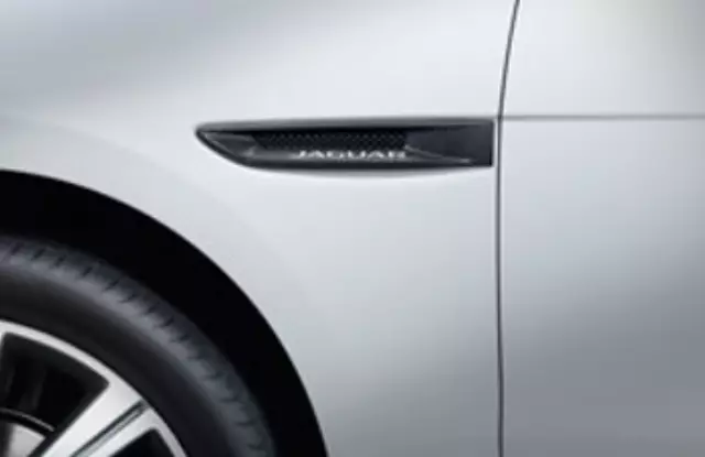 T4A12419 - Exterior: Side Power Vent - Carbon Fiber - Left Side for Jaguar Image