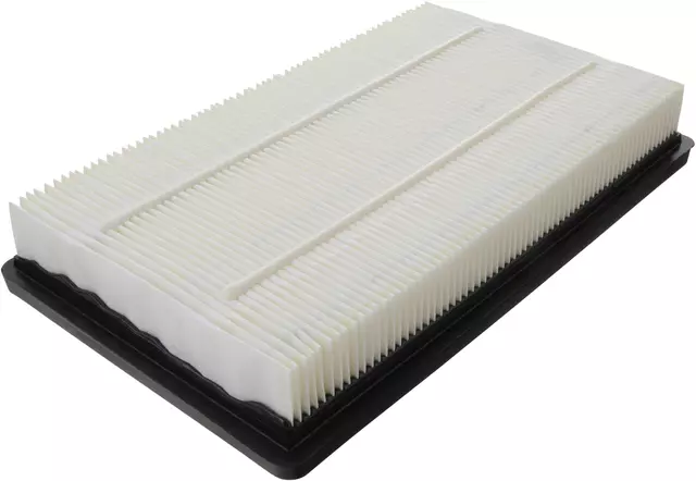 10366901 - : Air Filter for Chevrolet: Malibu | Pontiac: G6 Image