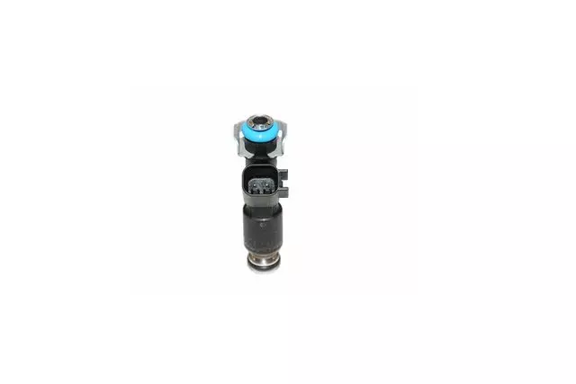 Multi-Port Fuel Injector Assembly - GM (12582219)