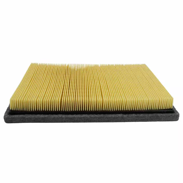 Element Assembly Air Cleaner - Ford (4L3Z-9601-BB)