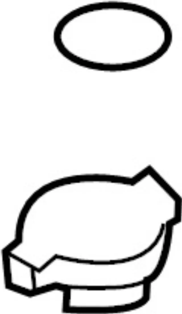 214307999C - Cooling System: Radiator Cap for INFINITI: FX35, FX45, G20, G35, I30, I35, J30, M30, M35, M45, Q45, Q70, Q70L, QX4 Image