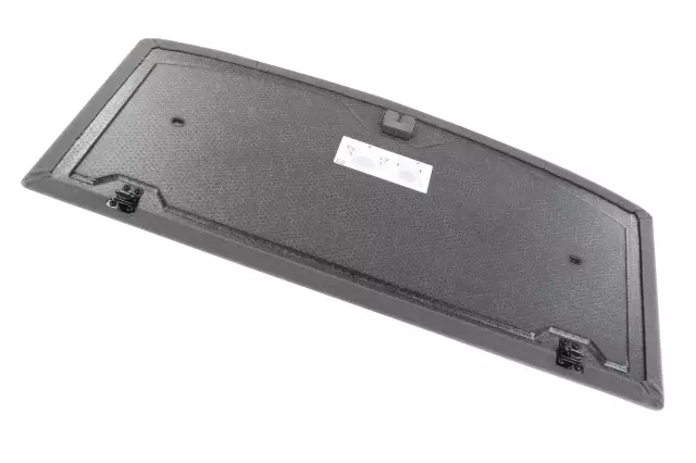 Cover Panel - GM (84379087)