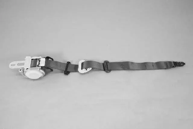 Seat Belt - Mopar (1AJ801D1AD)
