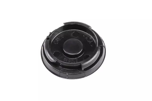 23144649 - : Anthracite Luggage Carrier Bolt Cap for GM Image