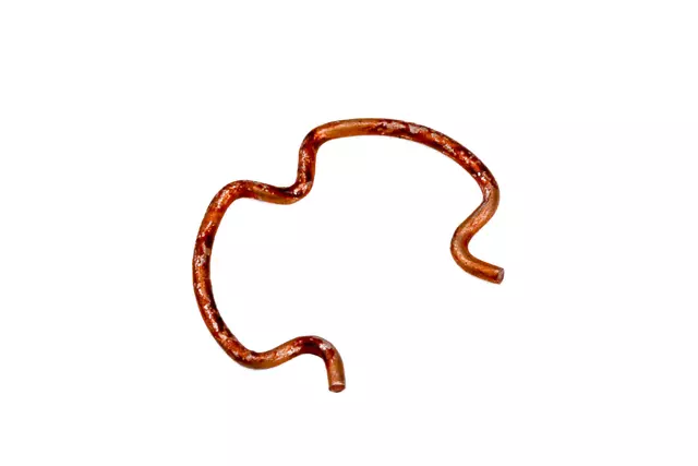 13280087 - : Limited Slip Differential Clutch Pipe Connector Spring for GM Image