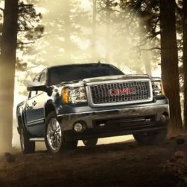 Hood Protector - Molded - Chrome W/O Logo - GM (19172040)