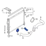 W527389S444 - : Hose Clamp for Ford: Bronco, Escape, F-150, Maverick, Mustang, Ranger Image