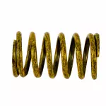 1L3Z7F284AA - : Spring for Ford Image