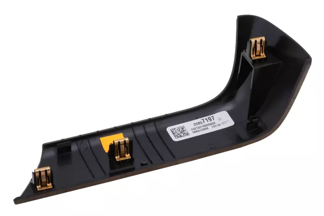 22837197 - Body: Door Trim Molding for Chevrolet: Silverado 1500, Silverado 2500 HD, Silverado 3500 HD | GMC: Sierra 1500, Sierra 2500 HD, Sierra 3500 HD Image