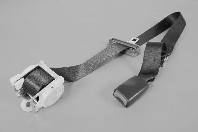 Rear Inner Seat Belt - Mopar (1BY501DVAD)