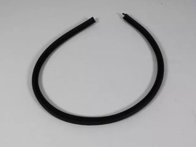 Side Glass Seal - Mopar (55255886)