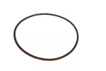 24230739 - Transmission: 3-5-Reverse Clutch Piston Inner Seal for Buick: Cascada, Enclave, Encore, Encore GX, Envision, Envista, LaCrosse, Regal, Regal Sportback, Verano | Cadillac: XT4, XT5, XT6 | Chevrolet: Blazer, Captiva Sport, Cruze, Cruze Limited, Equinox, Impala, Malibu, Malibu Limited, Sonic, Trailblazer, Traverse, Traverse Limited, Trax | GMC: Acadia, Terrain | Pontiac: G6 | Saturn: Aura Image