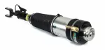 AS3369 - : Arnott Air Suspension Strut for Arnott Image