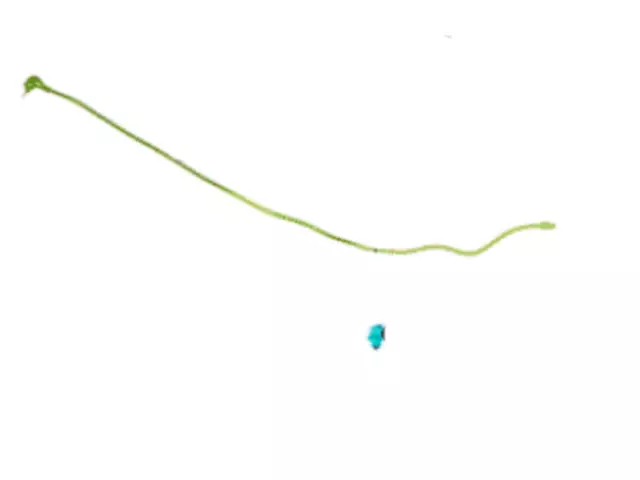 GS7Z16916B - : Cable Assembly Control for Ford Image