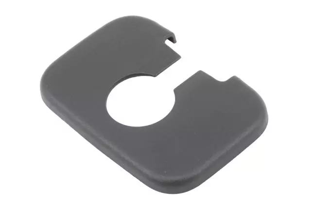 12789058 - Body: Striker Cover for GM Image